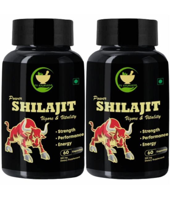 FIJ AYURVEDA Power Shilajit  Extract Capsule for Men & Women - 500mg 60 Capsules (Shilajit Pk 2)