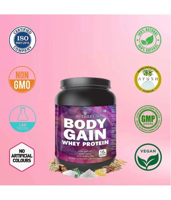 Nutriley Body Gain Whey Protein ( 500 gm , Vanilla - Flavour )