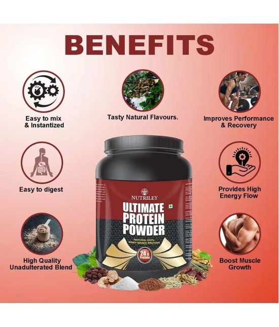 Nutriley Ultimate Whey Whey Protein ( 500 gm , American Icecream - Flavour )