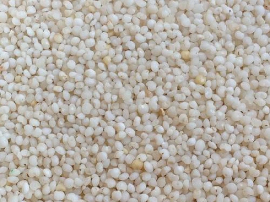 Vattam Kodo Millet, 10 Kg