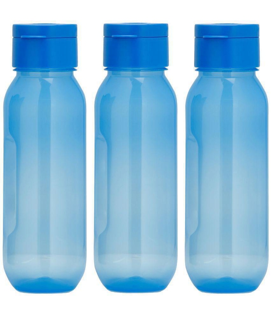 HOMETALES Claro Mini Blue Water Bottle 500 ML mL ( Set of 3 ) - Blue