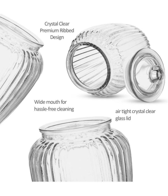 Treo By Milton Pot Jar With Glass Lid, Set of 2, 670 ml Each, Transparent | Air Tight | Storage Jar | Kitchen Organiser | Modular | Dishwasher Safe - Transparent