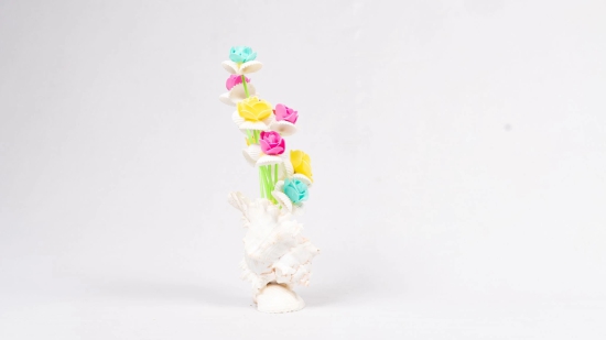 SEA SHELL FLOWER MULTI COLOUR