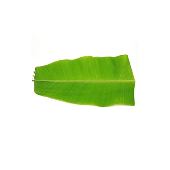 Banana Leaf 1 Pcs