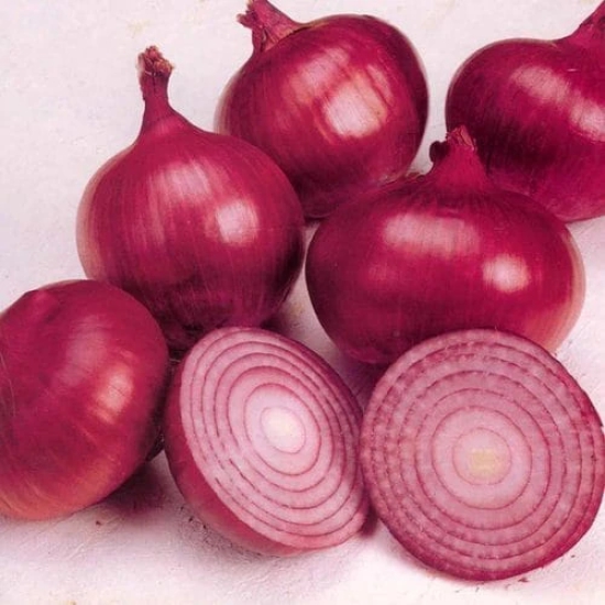 Organic Red Onion - Fresh from the Earth (200g)