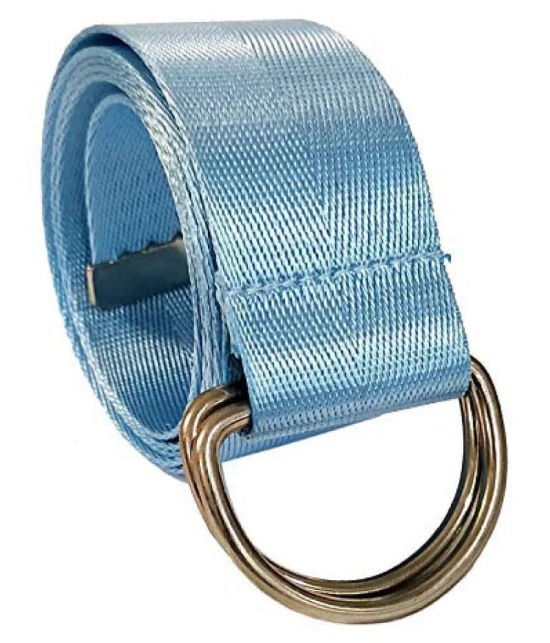 Livisorb Blue Nylon Casual Belt - Free Size