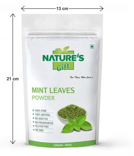 Nature''s Gift - 100 gm Mint Powder (Pack of 1)