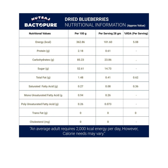 Nutraj Bactopure Dried Blueberries 150gm