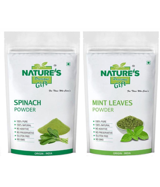 Natures Gift Spinach Powder, Coriander Powder, Curry Powder & Mint Powder - 100 GM Each Powder 100 gm Pack of 4