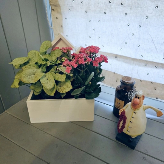 BARISH - Planter Table Top (3 House) | Handcrafted with Rubberwood | Indoor Planter Basket 13 x 10 x 5.5 Inches