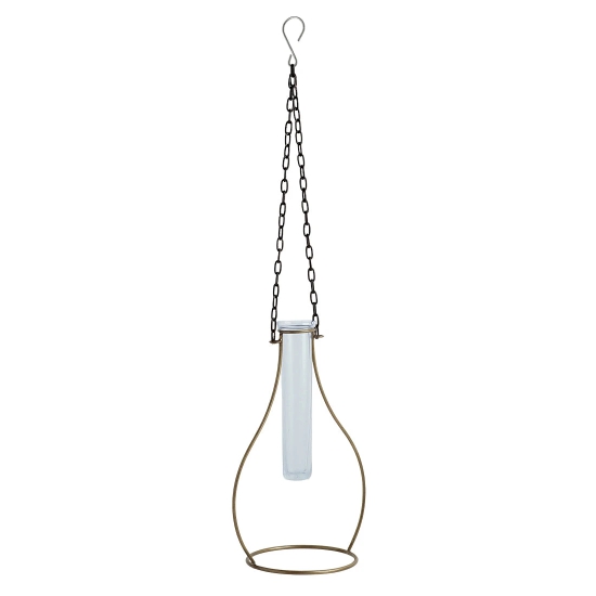 Modern Glass Garden Test Tube Hanging Planter/Vase (10 Inch, Golden)