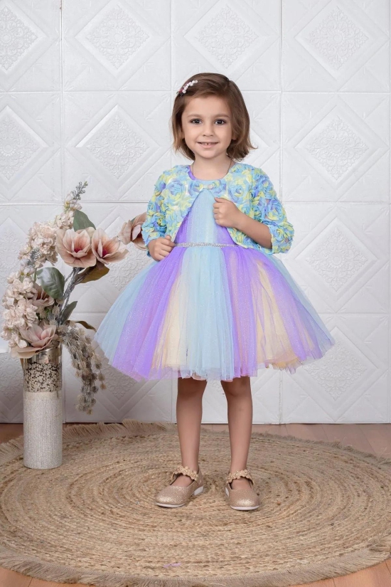 Childbird Multicolor Net Kids Party Dress With Flower Jacket-12-18 Month