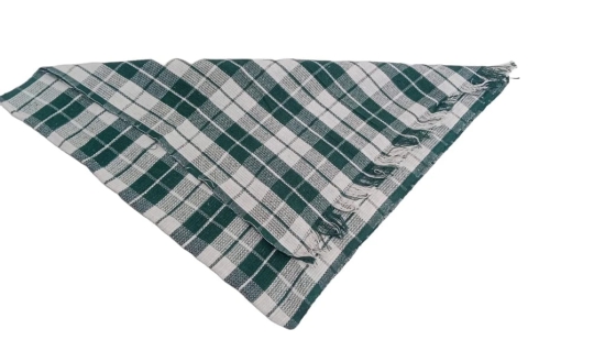 Orange, Green and White Checkered Dish Towel set of 3