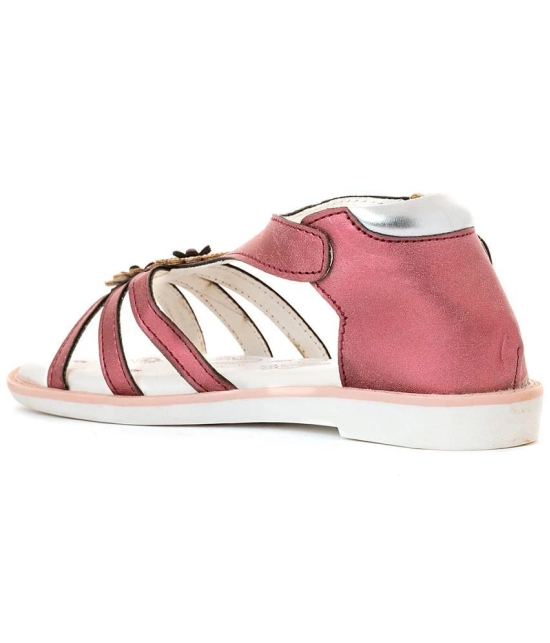 Adrianna Maroon Flat Sandal for Girls - None