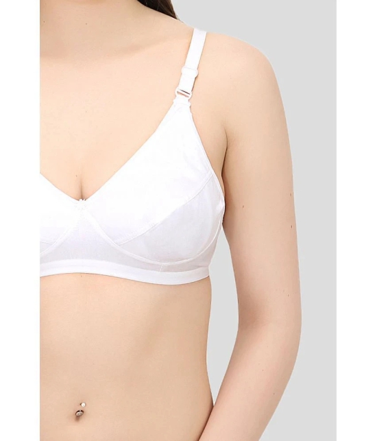 Elina - White Cotton Solid Womens Maternity Bra ( Pack of 1 ) - 34B