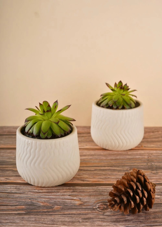 Essential White Planter