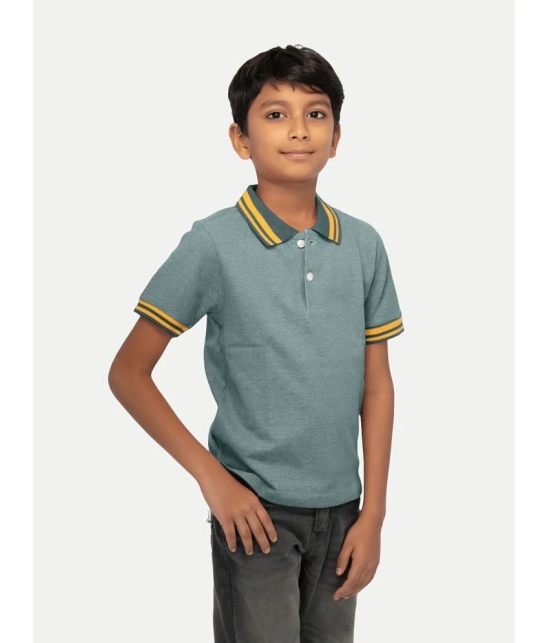 Radprix Green Cotton Blend Boys Polo T-Shirt ( Pack of 1 ) - None