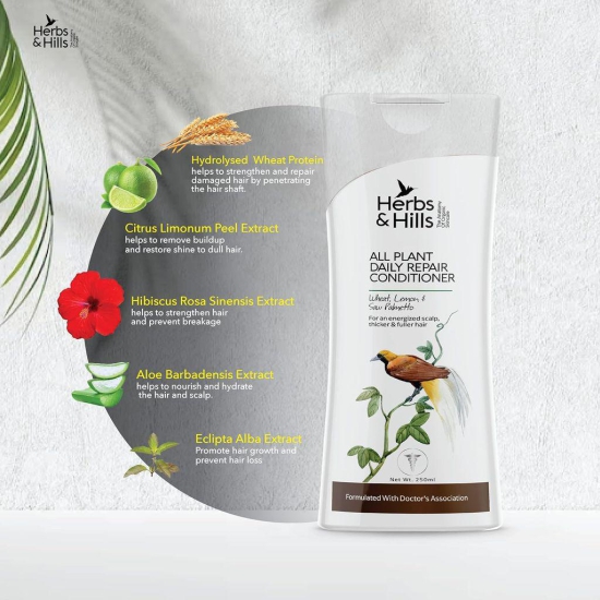 Herbs & Hills All Plant Daily Repair Conditioner - 250 ml, For Thicker, Fuller & Healthy Hair