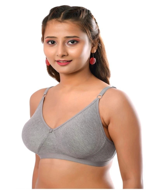 Elina Cotton T-Shirt Bra - Grey Single - 32C