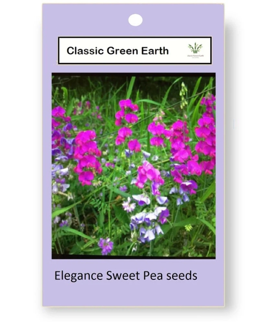 CLASSIC GREEN EARTH - Magnif Flower ( 15 Seeds )