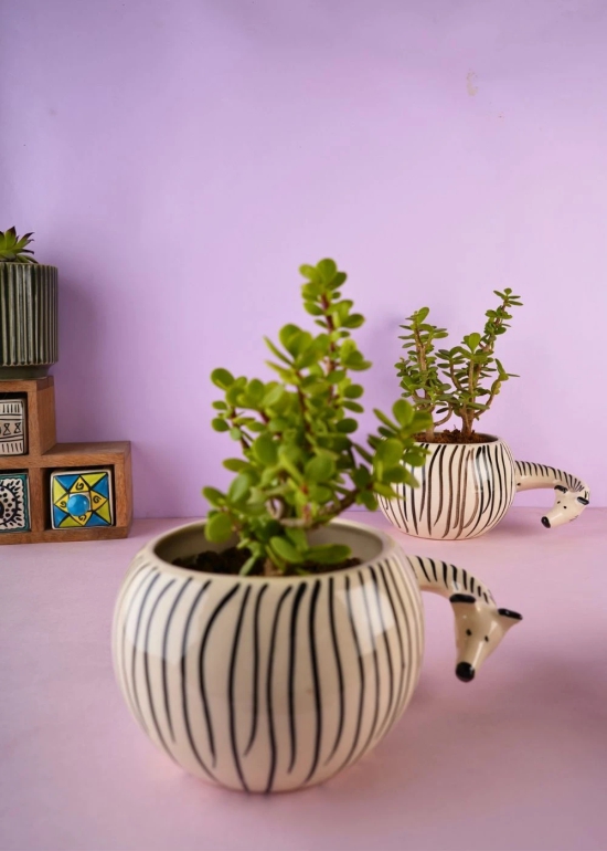 Zebra Planter