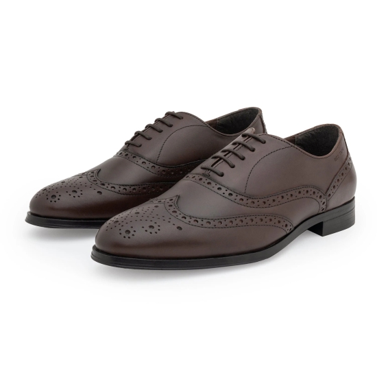 Red Tape Formal Oxford Shoes for Men |Refined Round-Toe Shaped Real Leather Shoes with Low-cut Pattern