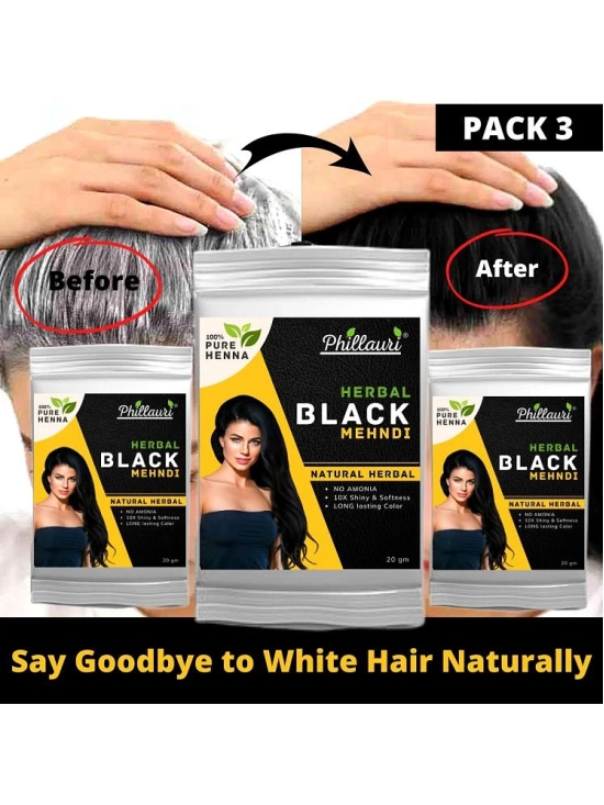 Phillauri Natural Permanent Hair Color 20 g Black