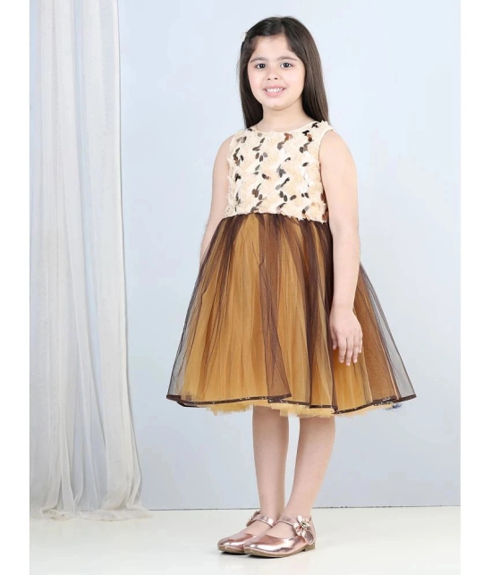 Toy Balloon Kids Brown Net Girls Frock ( Pack of 1 ) - None