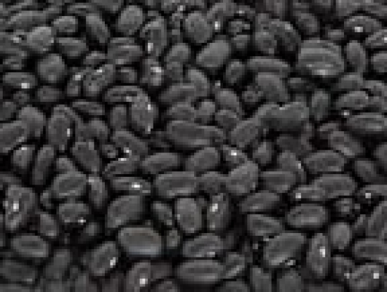 BHATT DAL (BLACK SOYABEAN)