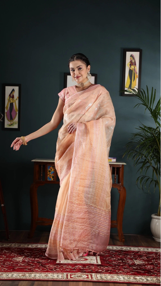 Organza saree