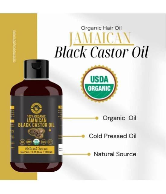 Holy Natural Hair Growth Castor Oil 100 ml ( Pack of 1 )