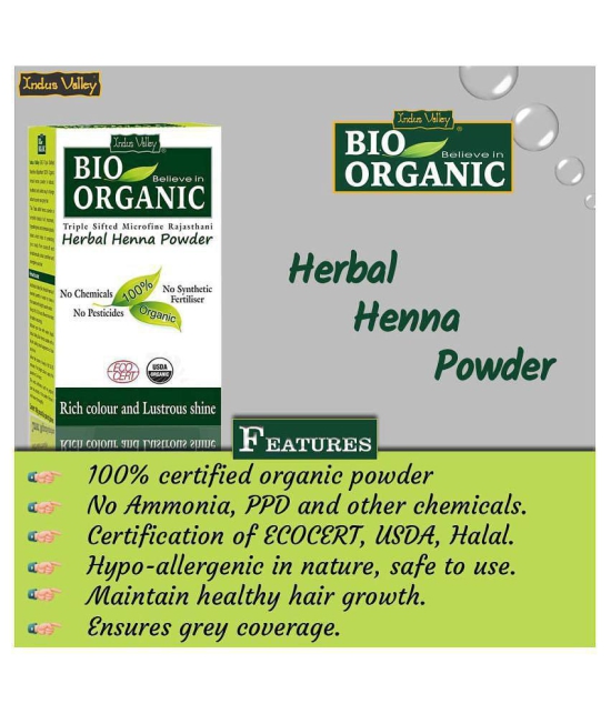 Indus Valley Pack of 2- Bio Organic Herbal Henna Powder 200g