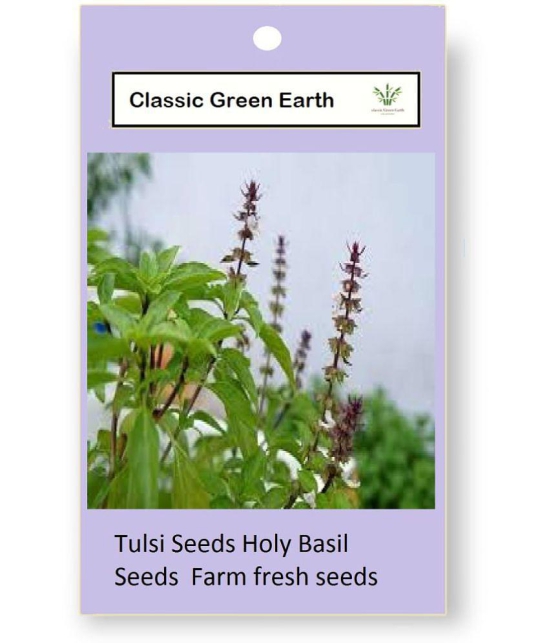 CLASSIC GREEN EARTH - Tulsi Plant ( 200 Seeds )