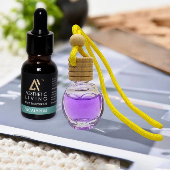 Aesthetic Living Car Aromatizer/ Diffuser Bottle with Essential Oil (Multi Shape Transparent Shape-10 ml+ Eucalyptus Essential Oil, 15 ml)