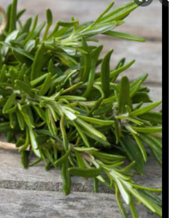 Rosemary 20 Gms