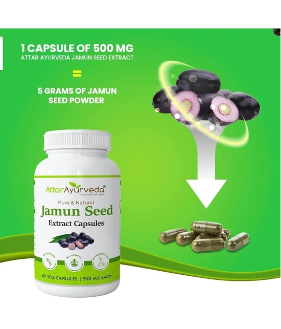 Attar Ayurveda Jamun Seed Extract Capsule 500mg, 60 capsules | Veg Capsules (Pack of 1)