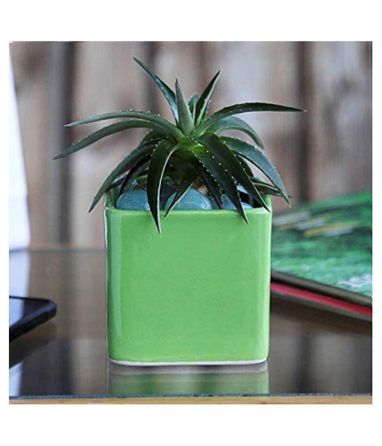 UGAOO Square Ceramic Pot (Small, 3.5 inch Wide, Light Green)