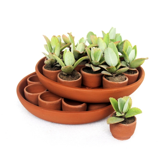 Handcrafted Terracotta Disk Plantation/Germination Kit