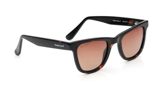 Brown Wayfarer Sunglasses for Men