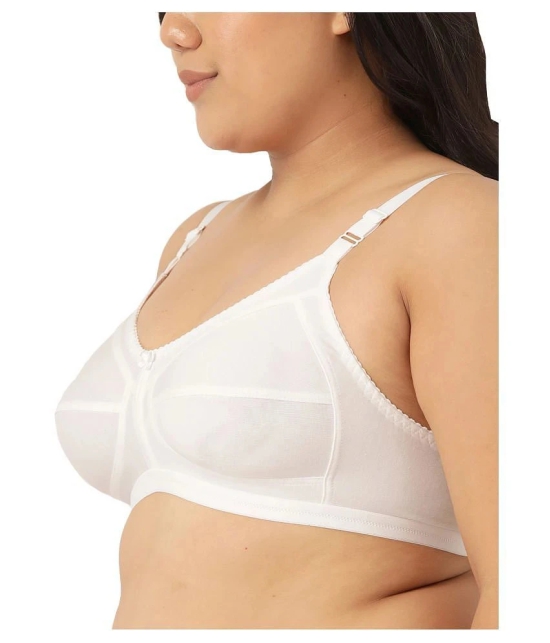 Leading Lady Cotton T-Shirt Bra - White Single - 48B