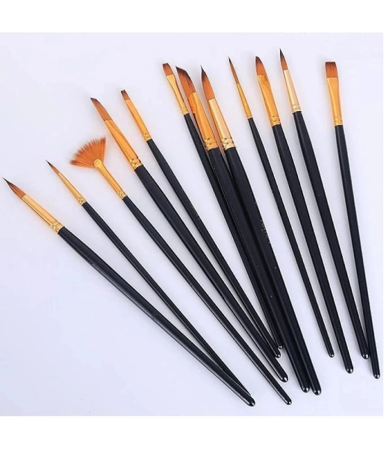 ECLET Craft Painting Brushes Set of 12 Professional Round Pointed Tip Nylon Hair Artist Acrylic Paint Brush for Acrylic/Watercolor/Oil Painting (Set of 1, Black, Golden)