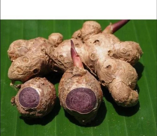 Black Ginger