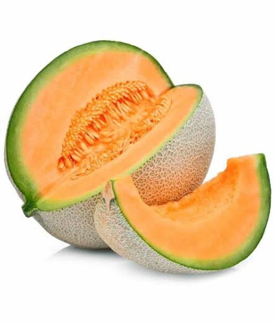 Musk Melon Golden Orange Flesh, Muskmelon Seeds, 30 Kharbuja Seeds