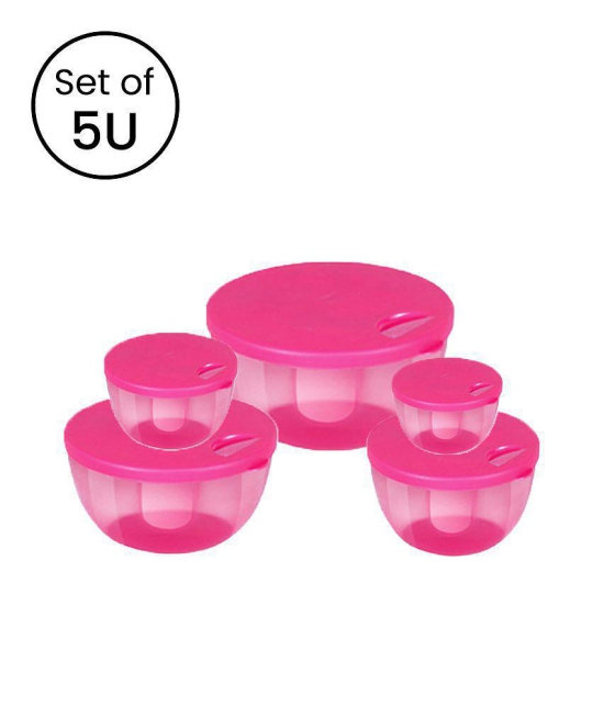 HOMETALES Multi-Purpose Container 1100ml, 700ml, 450ml, 300ml, 150ml,Blue (5U) - Pink