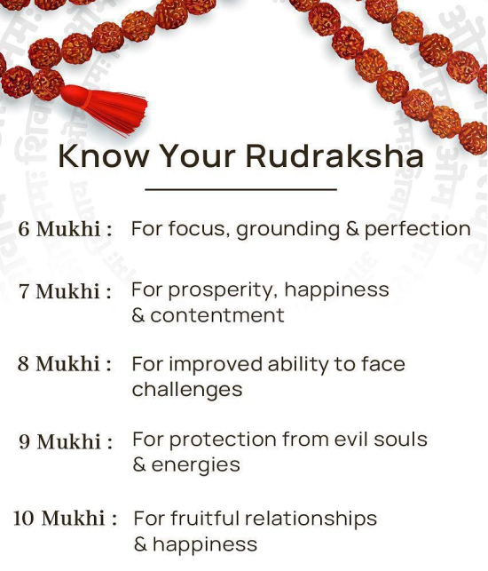 Rudraksha Pooja Mala