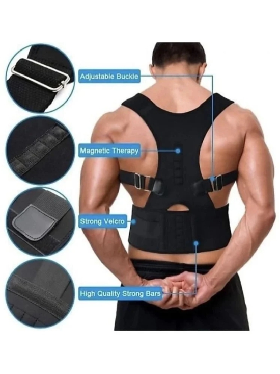 Fitgo Black Back Support ( Pack of 1 ) - L