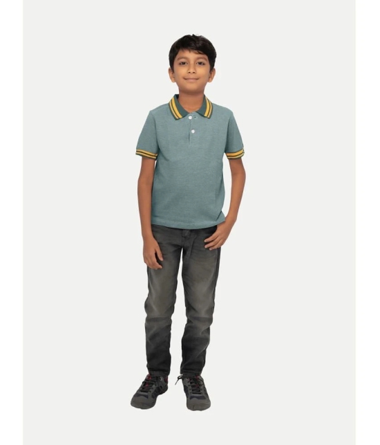 Radprix Green Cotton Blend Boys Polo T-Shirt ( Pack of 1 ) - None