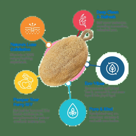 Careberrys Eco Friendly Organic Loofah | Gentle Exfoliator Sun Dried Luffa | Hypoallergenic Bath Sponge | Ideal Daily Body Wash Scrub | Sustainable Bathroom Essentials