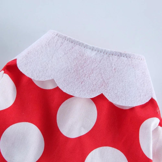 Dog Clothes| Pet Minnie Mouse Dress Costume | Sizes and Colours Available| Claws N Paws-XS