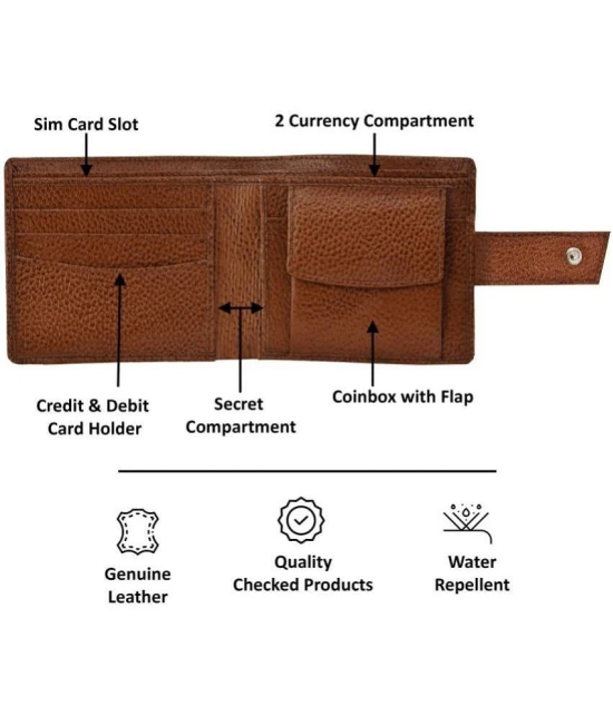 GEEO Mud Brown Leather Mens Two Fold Wallet ( Pack of 1 ) - Mud Brown